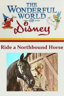 Ride a Northbound Horse 1969 official movie poster