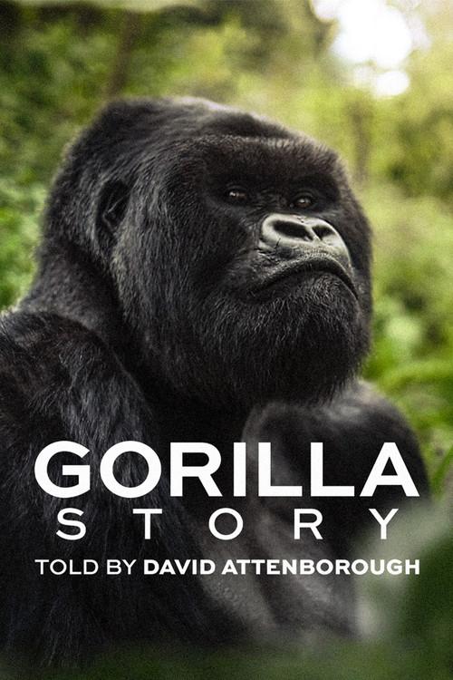 A Gorilla Story: Told by David Attenborough 2026 official movie poster