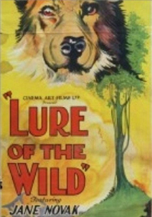 The Lure of the Wild 1925 official movie poster