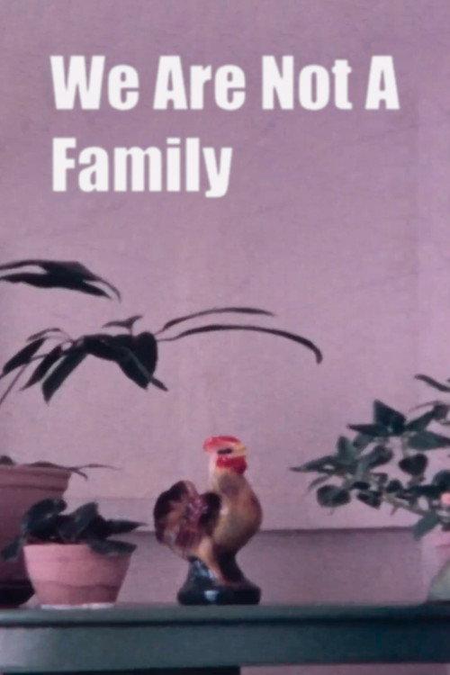 We Are Not A Family 1973 official movie poster