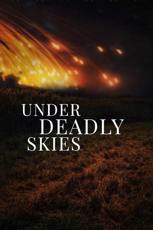 Under Deadly Skies: Ukraine's Eastern Front 2023 official movie poster