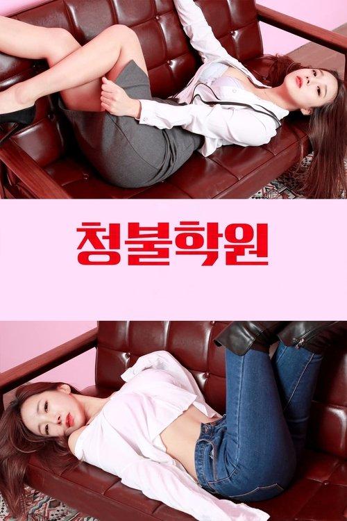 Adult Only Institute 2017 official movie poster
