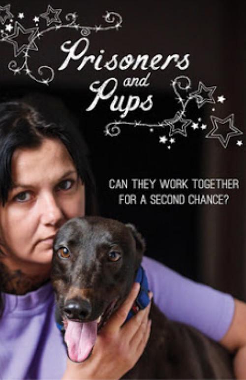 Prisoners and Pups 2017 official movie poster