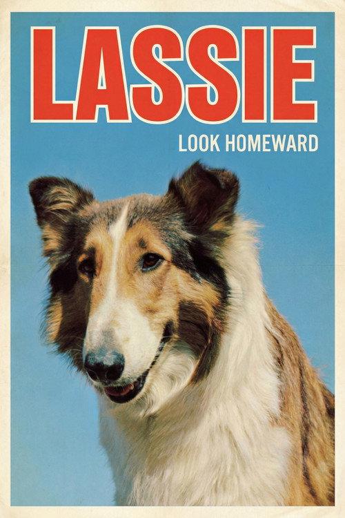 Look Homeward 1965 official movie poster