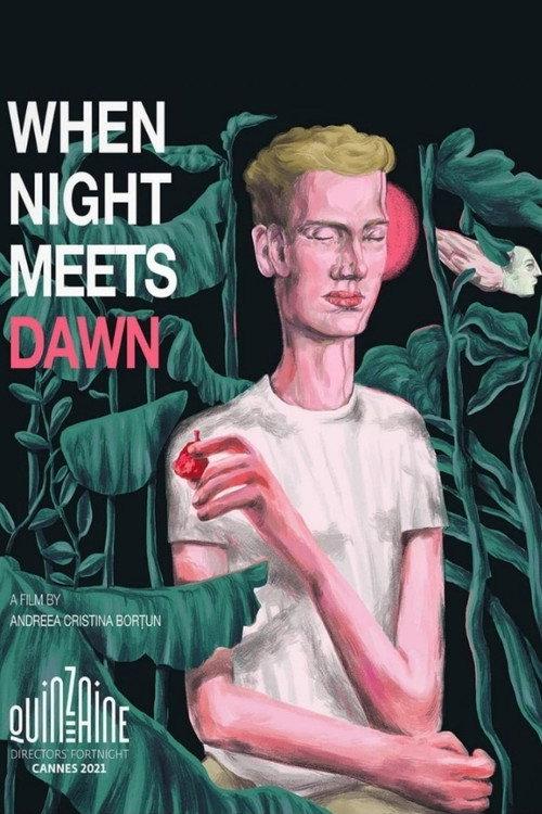 When Night Meets Dawn 2021 official movie poster
