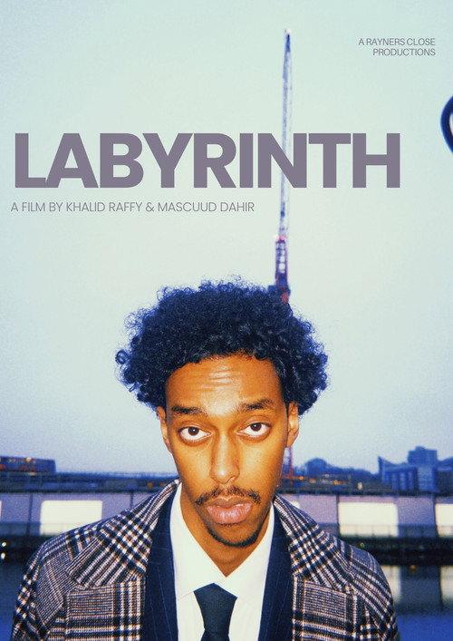 Labyrinth 2025 official movie poster