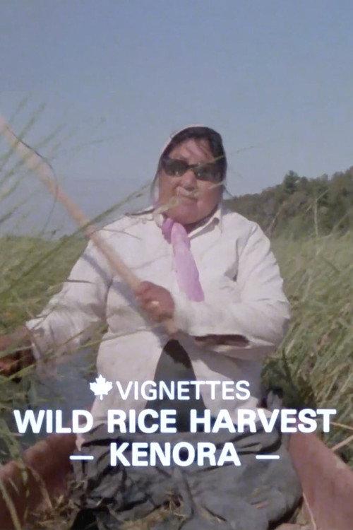 Canada Vignettes: Wild Rice Harvest Kenora 1979 official movie poster