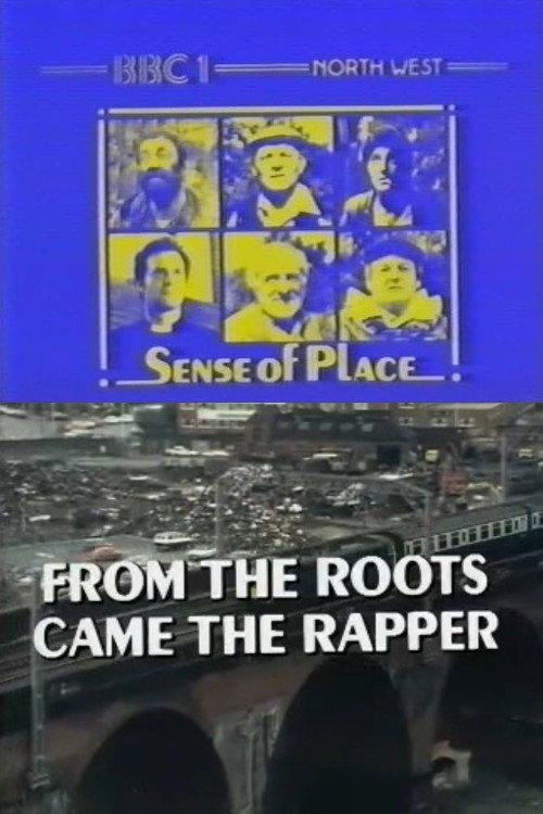 From the Roots Came the Rapper 1978 official movie poster