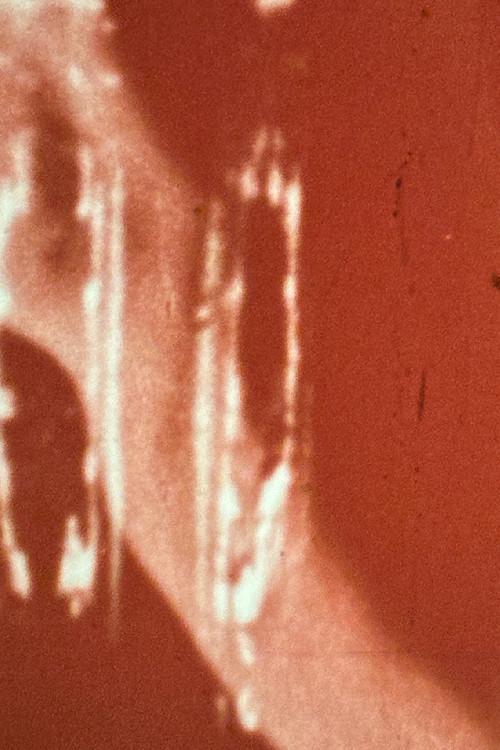 Luminescence 1976 official movie poster