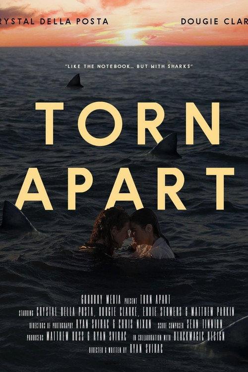 Torn Apart 2024 official movie poster