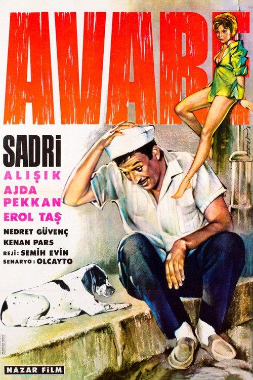 Avare 1965 official movie poster