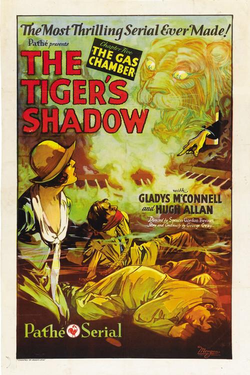 The Tiger's Shadow 1928 official movie poster
