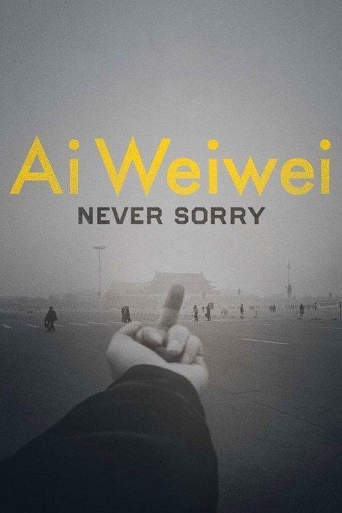 Ai Weiwei: Never Sorry 2012 official movie poster