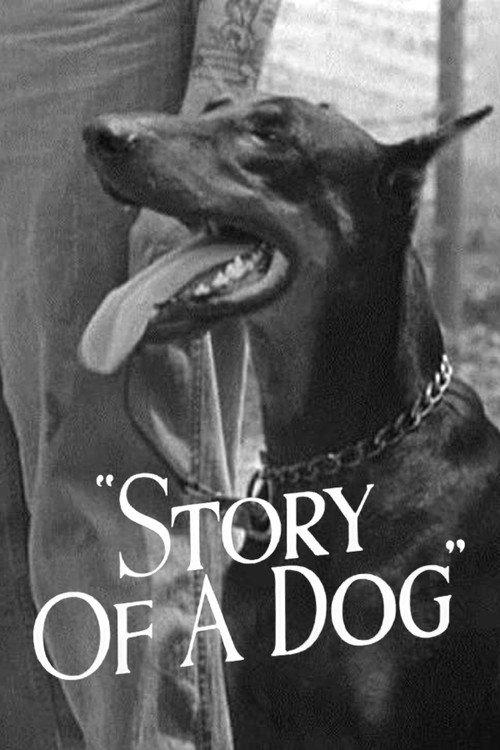 Story of a Dog 1945 official movie poster