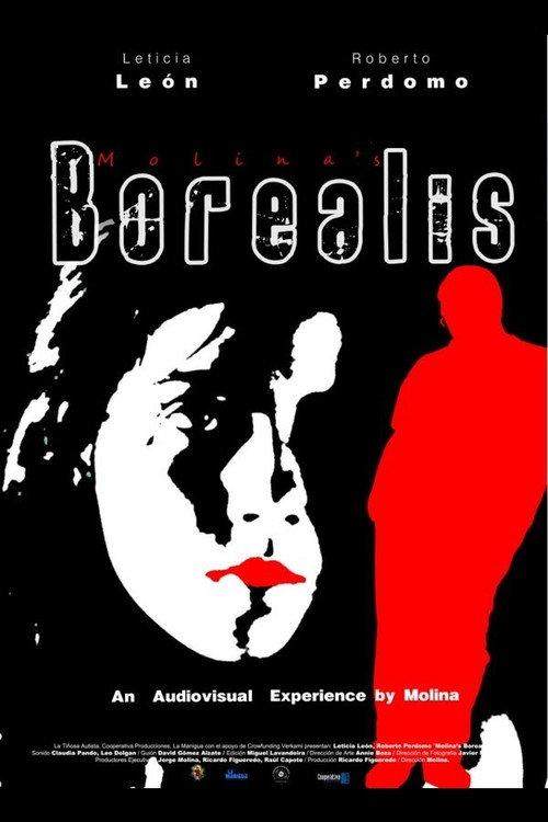 Molina's Borealis 2013 official movie poster