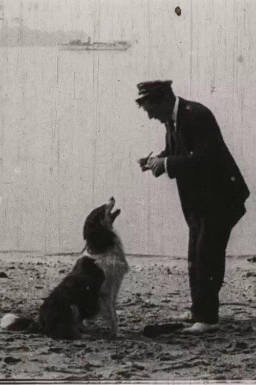 Jean Rescues 1911 official movie poster