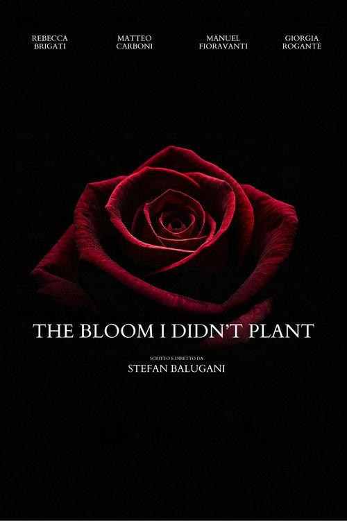 The Bloom I Didn't Plant  official movie poster