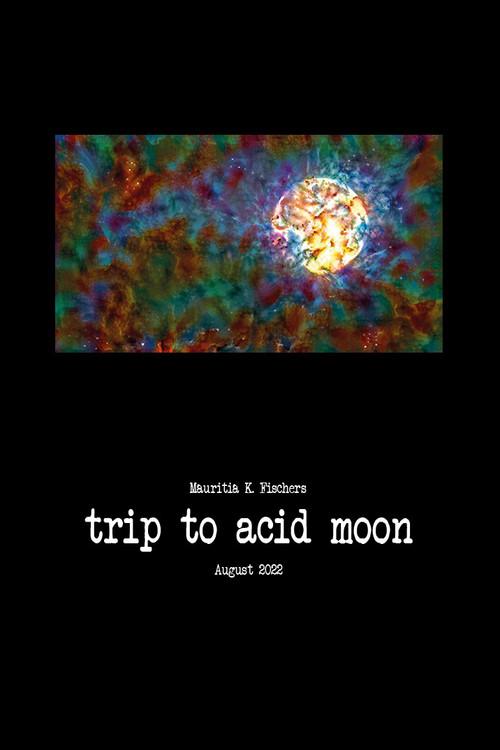 Trip to Acid Moon  official movie poster