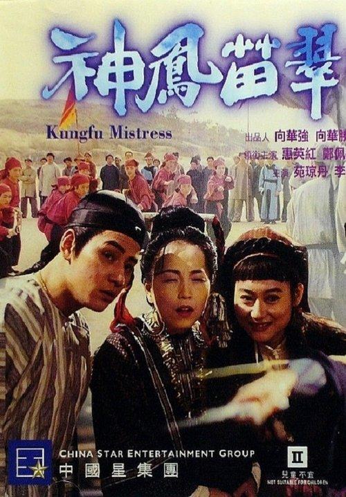 Kung Fu Mistress 1994 official movie poster
