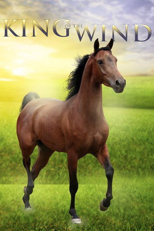 King of the Wind 1990 official movie poster