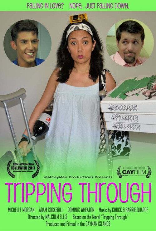 Tripping Through 2016 official movie poster