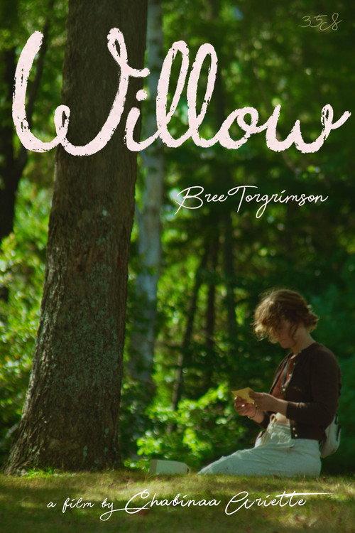Willow 2026 official movie poster