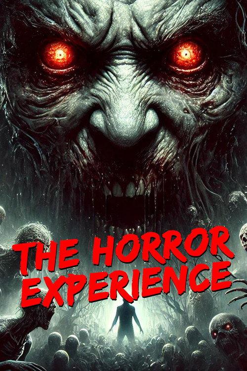 The Horror Experience  official movie poster