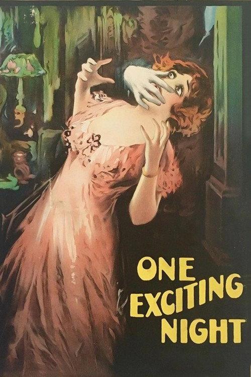 One Exciting Night 1922 official movie poster