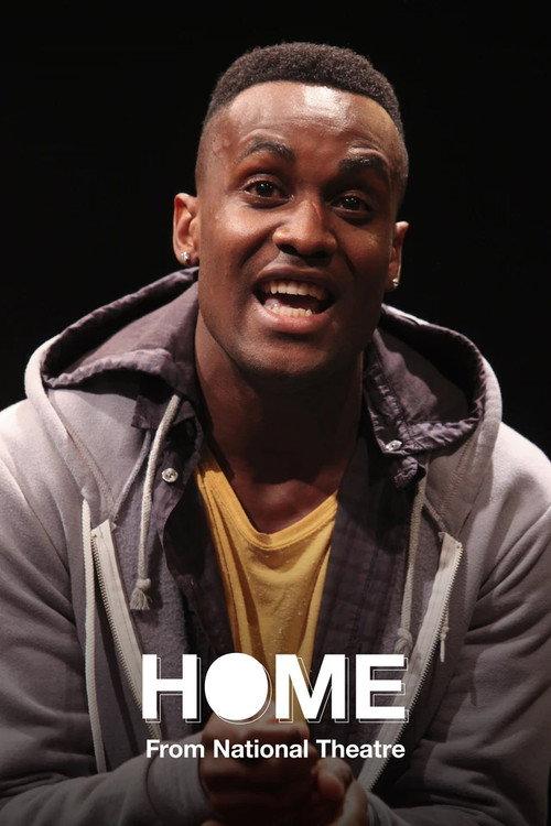 National Theatre Live: Home 2013 official movie poster