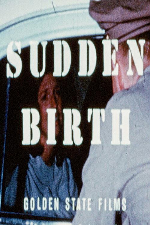 Sudden Birth 1966 official movie poster