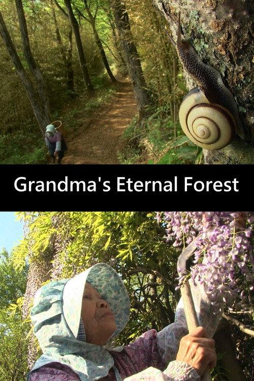 Grandma's Eternal Forest 2013 official movie poster