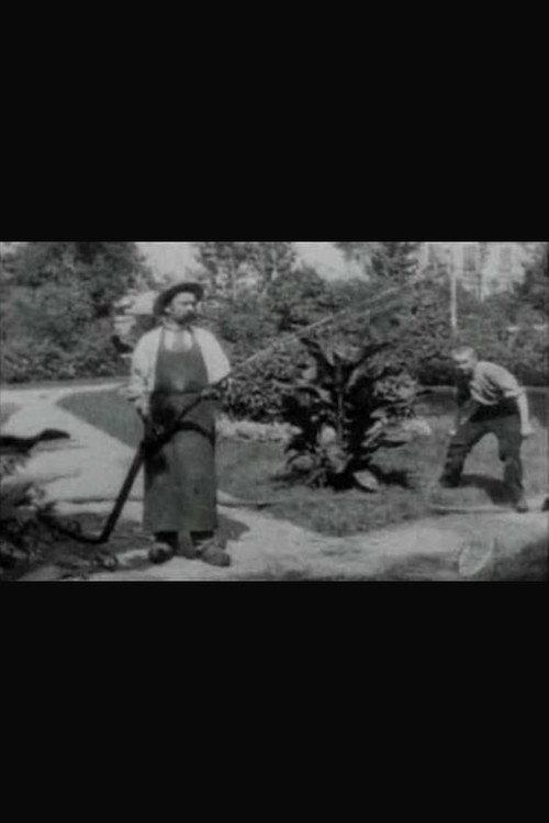 The Bad Boy and the Gardener 1896 official movie poster