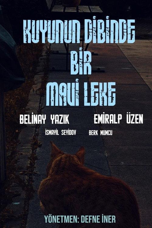 Kuyunun Dibinde Bir Mavi Leke 2026 official movie poster