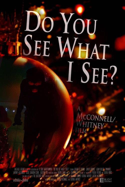 Do You See What I See? 2016 official movie poster