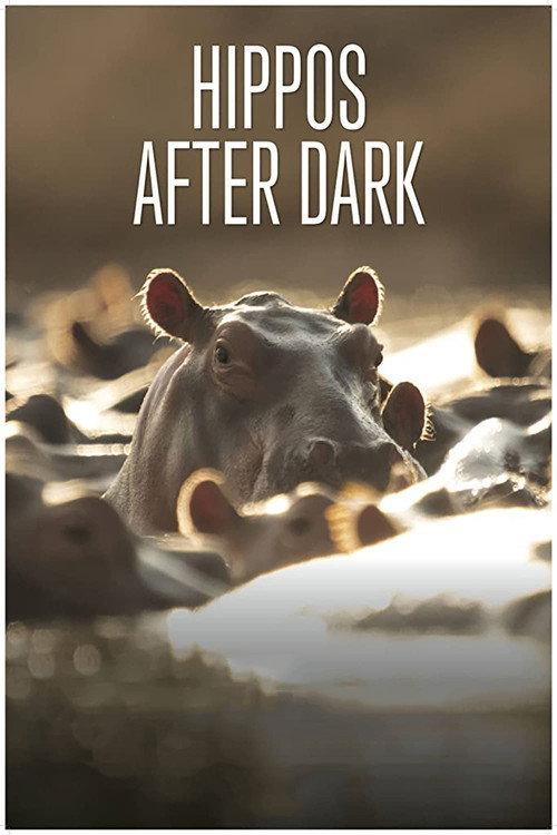 Hippos after Dark 2015 official movie poster