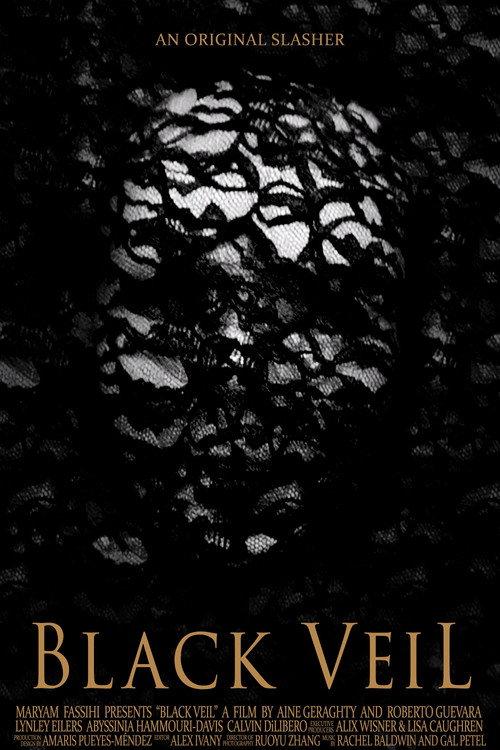 Black Veil 2024 official movie poster