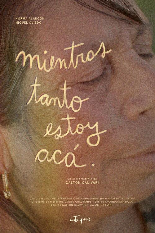 Mientras tanto estoy acá 2024 official movie poster