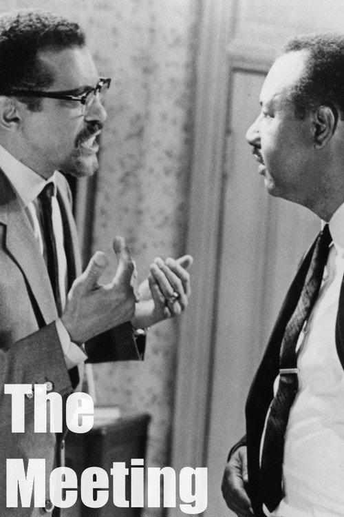 The Meeting 1989 official movie poster