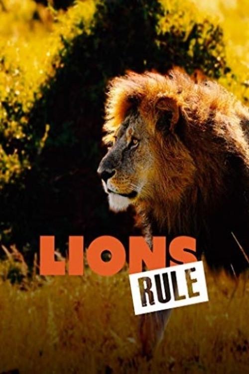 Lions Rule 2020 official movie poster
