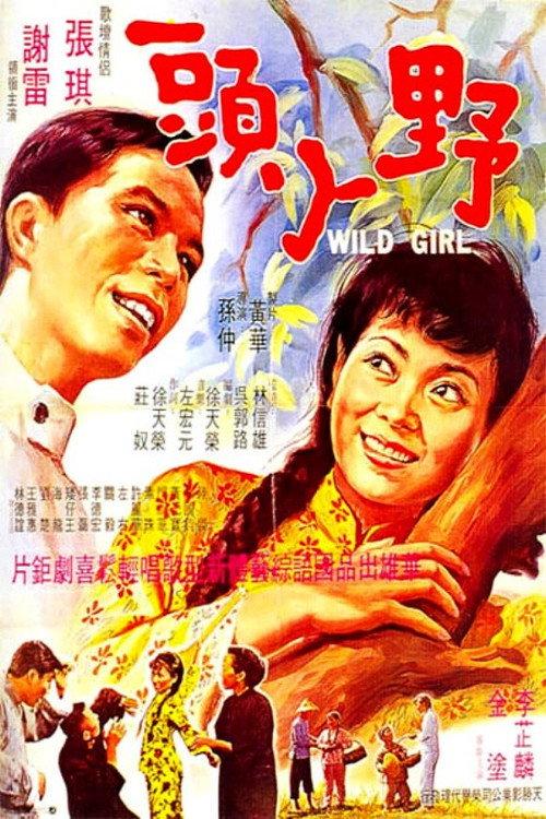 Wild Girl 1969 official movie poster