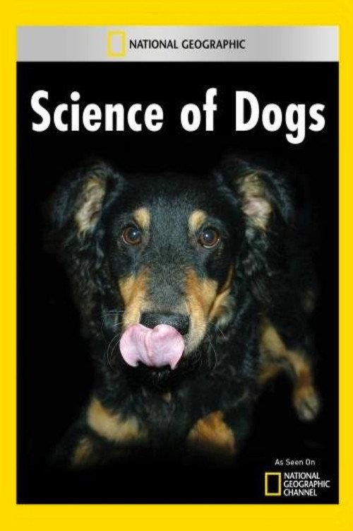 National Geographic Explorer: Science of Dogs 2007 official movie poster