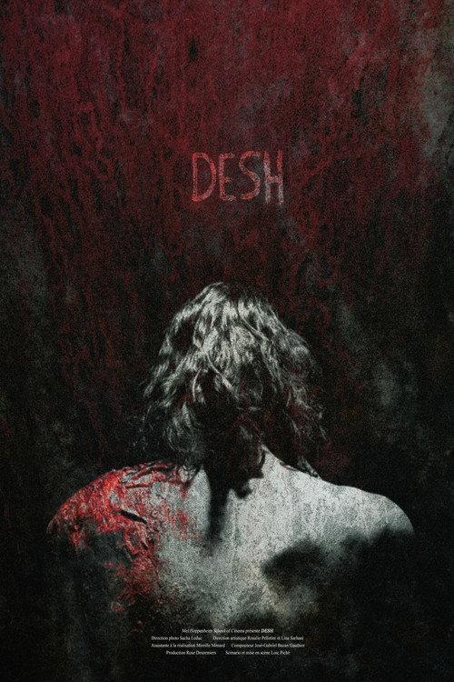 Desh 2024 official movie poster
