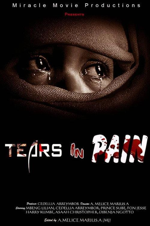 Tears in Pain 2019 official movie poster