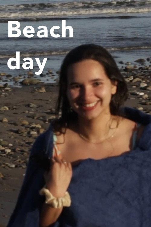 Beach day 2024 official movie poster