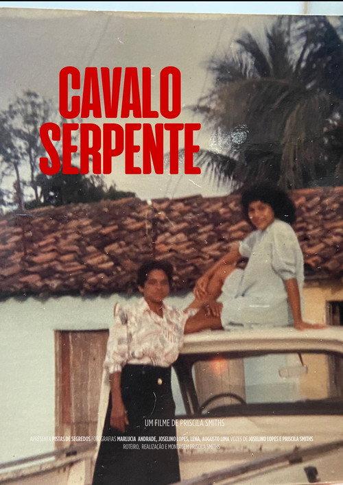 Cavalo Serpente (vol.1) 2024 official movie poster
