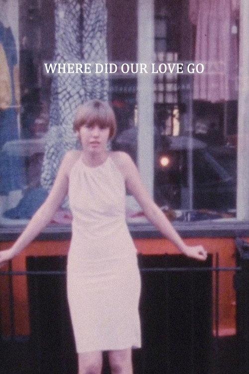 Where Did Our Love Go 1966 official movie poster