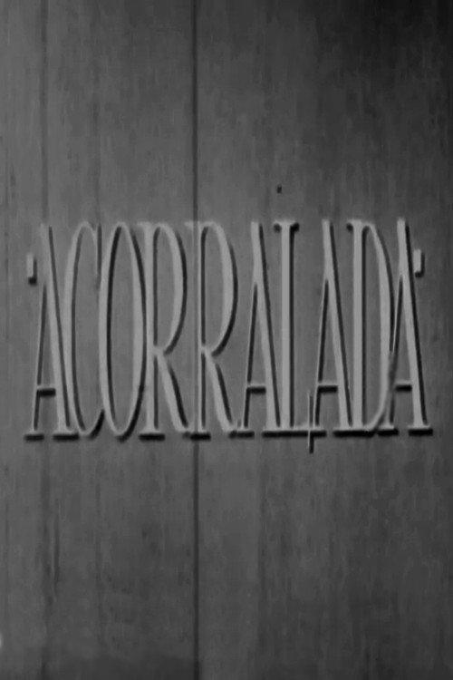 Cornered 1953 official movie poster