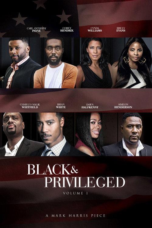 Black & Privileged: Volume 1 2019 official movie poster