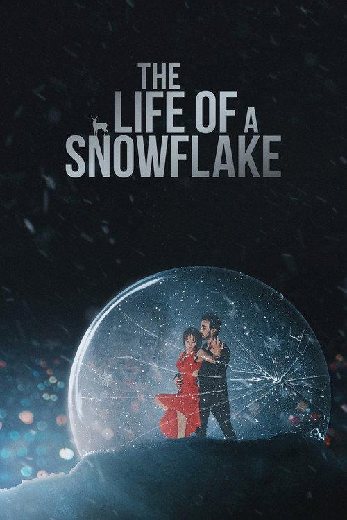 The Life of a Snowflake 2022 official movie poster