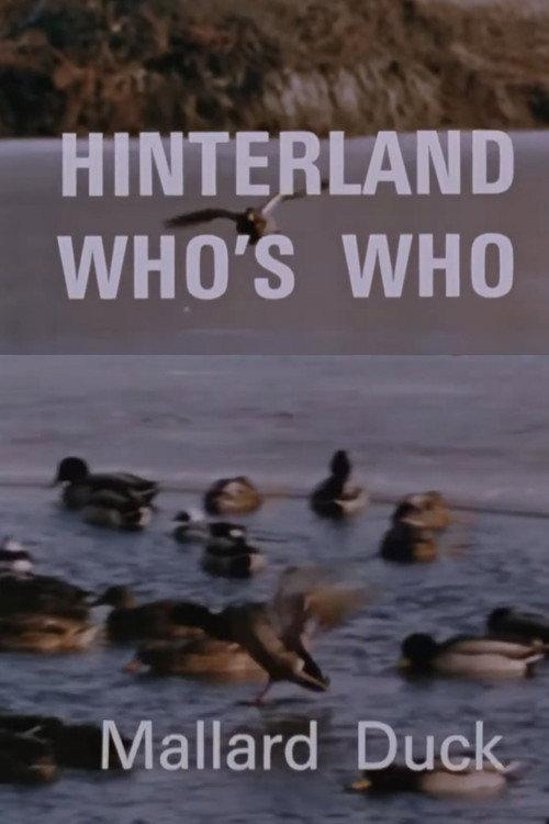 Hinterland Who's Who: Mallard Duck 1969 official movie poster
